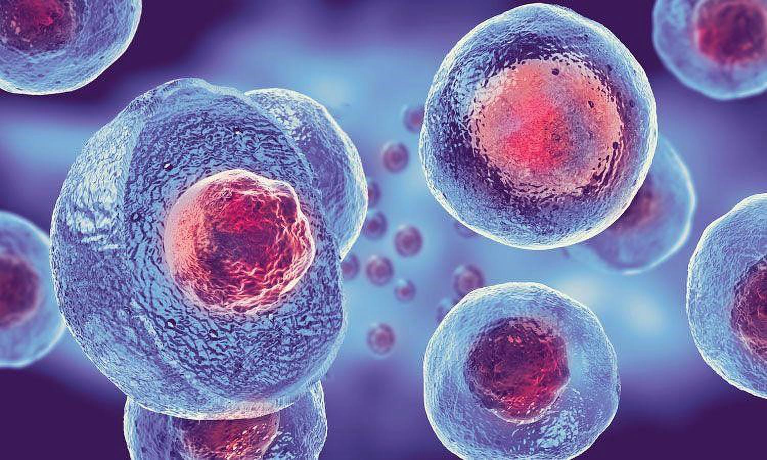 stem-cells-the-right-solution-and-the-lifesaving-treatment